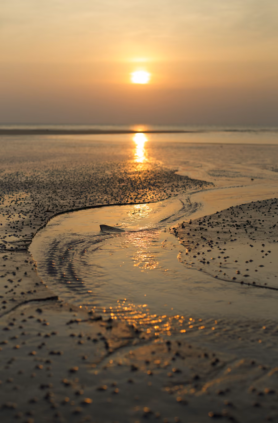 Beach sunset during receding tide